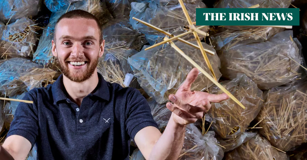 Tom Davies: Picking Up New Chopsticks Recycling Business